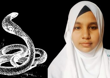 Schoolgirl Dies from Snakebite in Debidwar