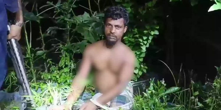 Ganja cultivation in Chandina