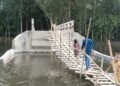 Tk 10.5 Million Bridge Stands Completed, But Bamboo Footbridge Remains Only Access for 20,000 Residents