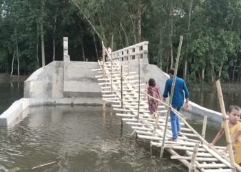 Tk 10.5 Million Bridge Stands Completed, But Bamboo Footbridge Remains Only Access for 20,000 Residents