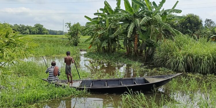 The Cry of a Dying Canal: Centuries-Old Fishing Tradition Fades Away in Kaziatal Village of Cumilla